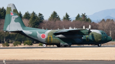 Photo ID 93874 by Andreas Zeitler - Flying-Wings. Japan Air Force Lockheed C 130H Hercules L 382, 75 1075