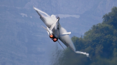 Photo ID 94797 by Martin Thoeni - Powerplanes. Switzerland Air Force McDonnell Douglas F A 18C Hornet, J 5017