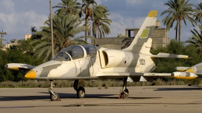 Photo ID 13446 by Chris Lofting. Libya Air Force Aero L 39ZA Albatros, 1101