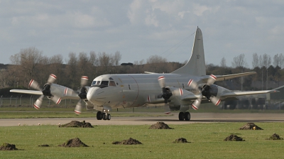 Photo ID 14206 by Jaco Haasnoot. Netherlands Navy Lockheed P 3C Orion, 307
