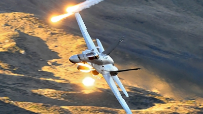 Photo ID 110401 by Martin Thoeni - Powerplanes. Switzerland Air Force McDonnell Douglas F A 18C Hornet, J 5010
