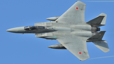 Photo ID 110786 by Peter Terlouw. Japan Air Force McDonnell Douglas F 15J Eagle, 82 8899