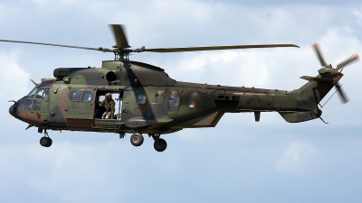 Photo ID 116430 by Rainer Mueller. Netherlands Air Force Aerospatiale AS 532U2 Cougar MkII, S 438