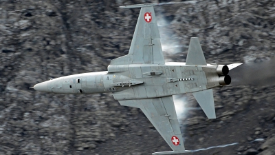Photo ID 130078 by Martin Thoeni - Powerplanes. Switzerland Air Force Northrop F 5E Tiger II, J 3070