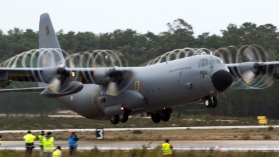 Photo ID 136901 by Ricardo Manuel Abrantes. Portugal Air Force Lockheed C 130H 30 Hercules L 382, 16801