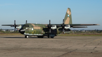 Photo ID 139656 by Martin Kubo. Argentina Air Force Lockheed C 130H Hercules L 382, TC 64