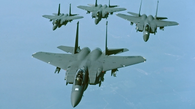 Photo ID 140920 by David F. Brown. USA Air Force McDonnell Douglas F 15E Strike Eagle, 89 0501