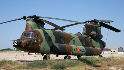 Photo ID 18788 by Pablo Rada. Spain Army Boeing Vertol CH 47D Chinook, HT 17 02