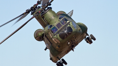 Photo ID 155445 by Niels Roman / VORTEX-images. Netherlands Air Force Boeing Vertol CH 47D Chinook, D 665