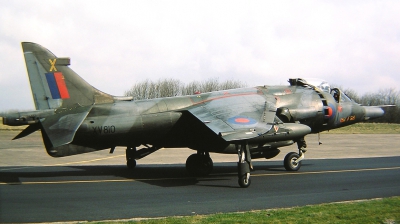 Photo ID 19455 by Arie van Groen. UK Air Force Hawker Siddeley Harrier GR 3, XV810