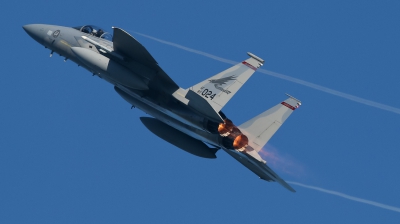 Photo ID 156732 by Giampaolo Tonello. USA Air Force McDonnell Douglas F 15C Eagle, 80 0024