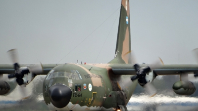 Photo ID 157789 by Martin Kubo. Argentina Air Force Lockheed C 130H Hercules L 382, TC 64