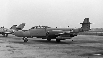 Photo ID 19840 by Eric Tammer. France Air Force Gloster Meteor NF 11, NF11 8