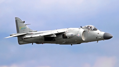 Photo ID 163472 by Johannes Berger. Private Nalls Aviation Inc British Aerospace Sea Harrier FA 2, N94422