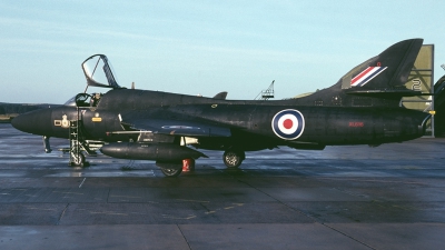 Photo ID 164849 by Tom Gibbons. UK Air Force Hawker Hunter T7A, XL616