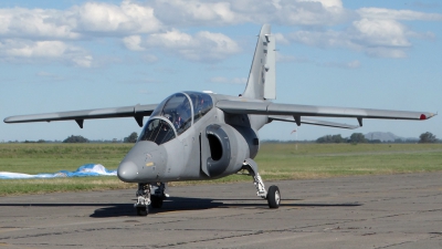 Photo ID 167261 by Martin Kubo. Argentina Air Force FMA AT 63 Pampa II, E 817