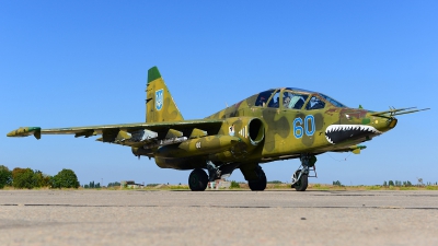 Photo ID 168062 by Stephan Franke - Fighter-Wings. Ukraine Air Force Sukhoi Su 25UB,  