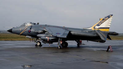 Photo ID 20796 by Tom Gibbons. UK Navy British Aerospace Sea Harrier FRS 1, ZD613