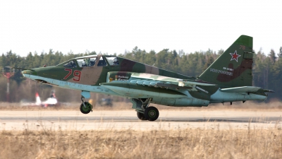 Photo ID 173768 by Sergey Koptsev. Russia Air Force Sukhoi Su 25UB, RF 91981