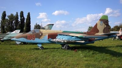 Photo ID 185021 by Lukas Kinneswenger. Ukraine Air Force Sukhoi Su 25,  