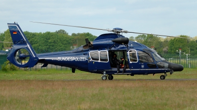 Photo ID 201303 by Michael Frische. Germany Bundespolizei Eurocopter EC 155B, D HLTH