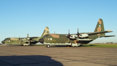 Photo ID 24428 by Martin Kubo. Argentina Air Force Lockheed C 130H Hercules L 382, TC 61
