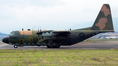 Photo ID 218529 by Lukas Kinneswenger. Taiwan Air Force Lockheed C 130H Hercules L 382, 1319