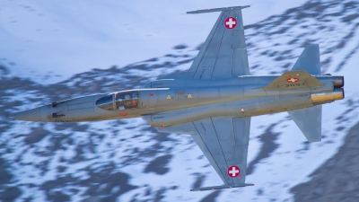 Photo ID 222844 by Agata Maria Weksej. Switzerland Air Force Northrop F 5E Tiger II, J 3097