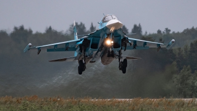 Photo ID 228729 by David Novák. Russia Air Force Sukhoi Su 34 Fullback, RF 95845