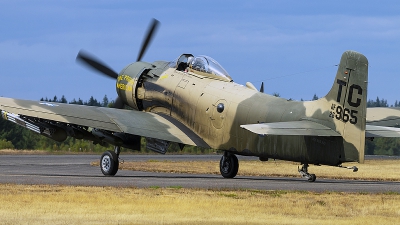 Photo ID 228818 by Aaron C. Rhodes. Private Heritage Flight Museum Douglas A 1D Skyraider AD 4N, NX965AD
