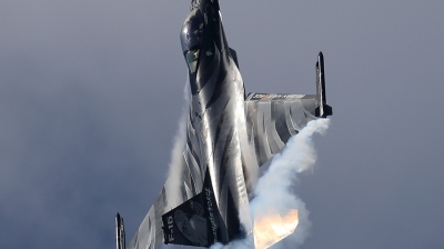 Photo ID 229315 by Walter Van Bel. Belgium Air Force General Dynamics F 16AM Fighting Falcon, FA 101