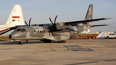 Photo ID 229508 by Ray Biagio Pace. Poland Air Force CASA C 295M, 025