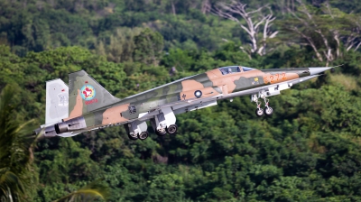 Photo ID 233016 by Andreas Zeitler - Flying-Wings. Taiwan Air Force Northrop F 5E Tiger II, 5272