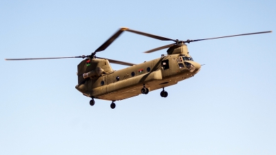 Photo ID 233083 by Ray Biagio Pace. Libya Air Force Boeing Vertol CH 47C Chinook, LC 010