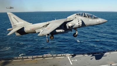 Photo ID 233385 by Aldo Bidini. Italy Navy McDonnell Douglas TAV 8B Harrier II, MM55032