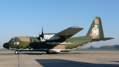 Photo ID 27494 by Martin Kubo. Argentina Air Force Lockheed C 130H Hercules L 382, TC 61