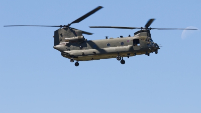 Photo ID 268993 by Jaysen F. Snow - Sterling Aerospace Photography. UK Air Force Boeing Vertol Chinook HC6 CH 47F, ZK555