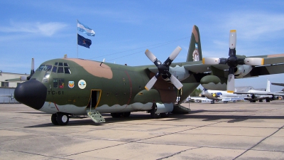 Photo ID 31124 by Franco S. Costa. Argentina Air Force Lockheed C 130H Hercules L 382, TC 61