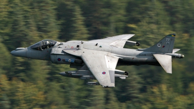 Photo ID 31858 by Paul Cameron. UK Air Force British Aerospace Harrier GR 9, ZG506