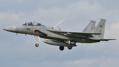 Photo ID 48730 by Peter Terlouw. Japan Air Force McDonnell Douglas F 15DJ Eagle, 82 8063
