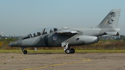 Photo ID 52514 by Martin Kubo. Argentina Air Force FMA IA 63 Pampa II, E 821