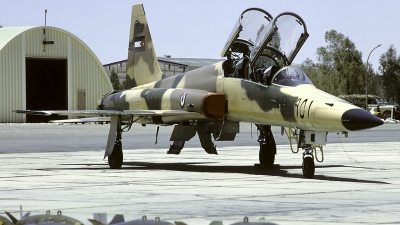 Photo ID 54756 by Carl Brent. Jordan Air Force Northrop F 5F Tiger II, 951