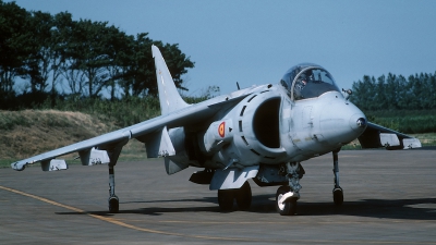 Photo ID 56345 by Henk Schuitemaker. Spain Navy McDonnell Douglas AV 8B Harrier II, VA 1A 19