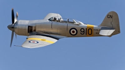 Photo ID 61931 by Niels Roman / VORTEX-images. Private The Fighter Collection Hawker Sea Fury T20, NX20MD
