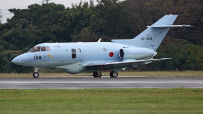 Photo ID 62346 by Carl Brent. Japan Air Force Hawker Siddeley U 125A HS 125 800, 22 3019