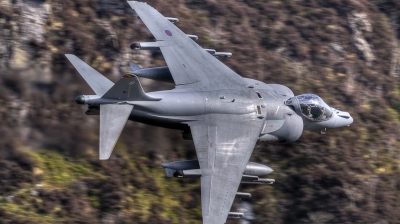 Photo ID 70457 by Adrian Harrison. UK Air Force British Aerospace Harrier GR 7, ZD352