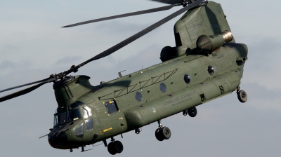 Photo ID 70722 by kristof stuer. Netherlands Air Force Boeing Vertol CH 47D Chinook, D 661