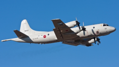 Photo ID 74056 by Andreas Zeitler - Flying-Wings. Japan Navy Lockheed P 3C Orion, 5037