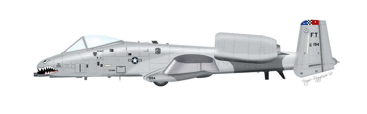 A-10 Wharthog Profile