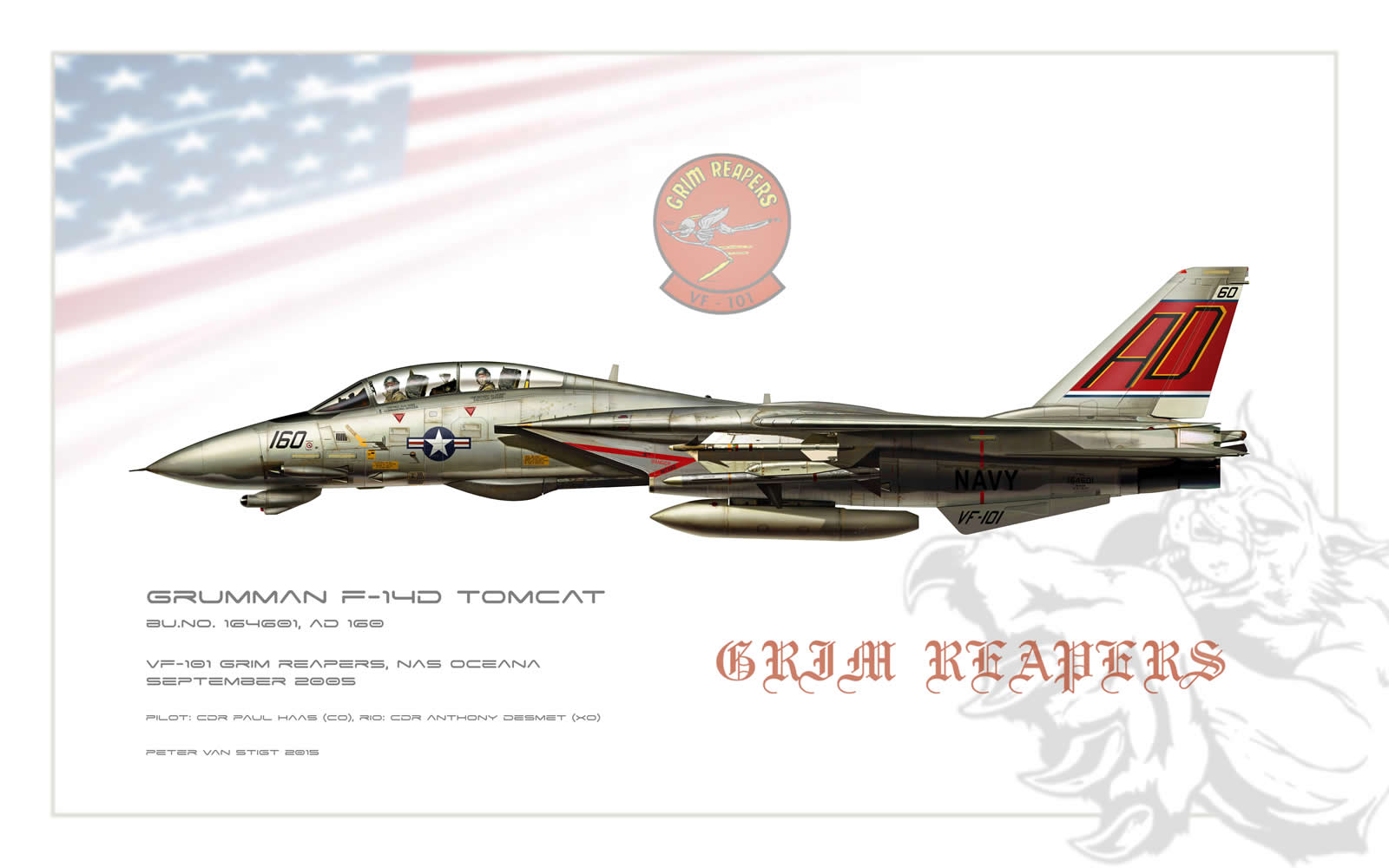 VF-101 Grim Reapers F-14 Tomcat Profile